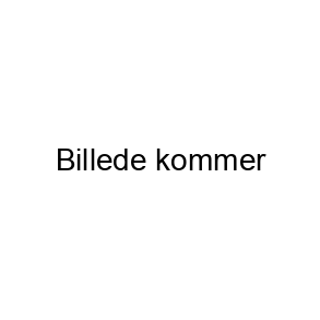 Mors dag