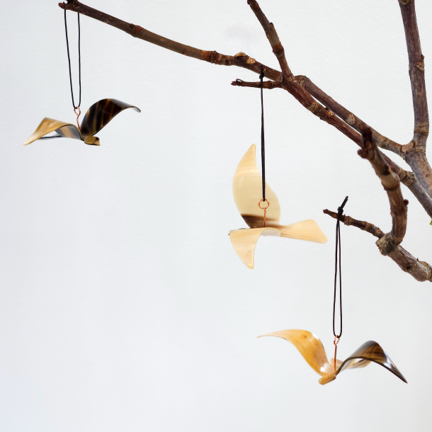 2024 Vogel des Jahres Hnger