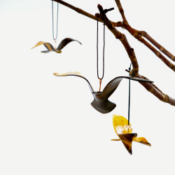 2024 Vogel des Jahres Hnger