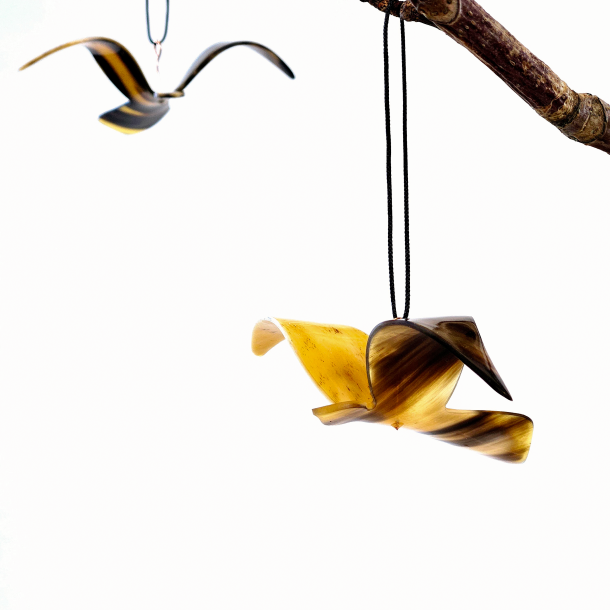 2024 Vogel des Jahres Hnger