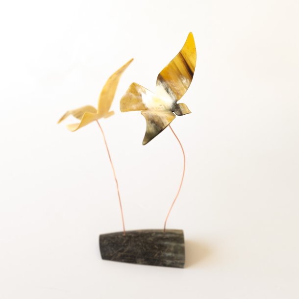 2024 Vogel des Jahres aus horn Paar