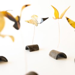 2024 Vogel des Jahres aus horn