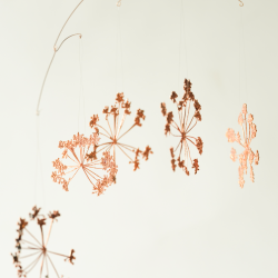 2025 Blume des Jahres Girsch