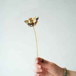 2025 Blume des Jahres aus Horn