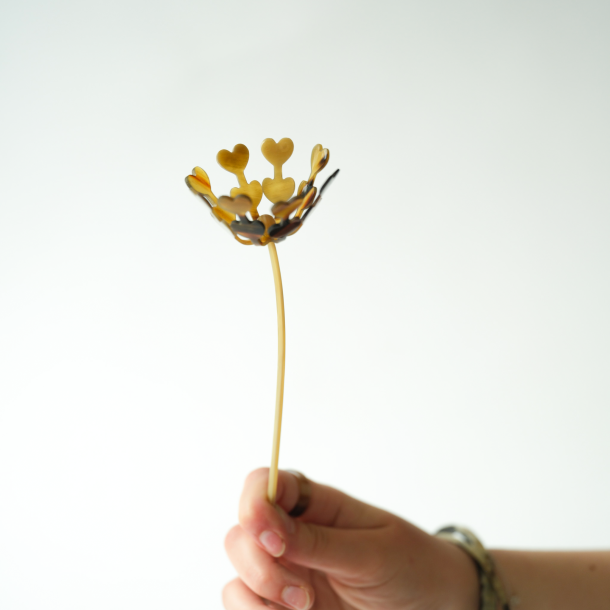 2025 Blume des Jahres aus Horn