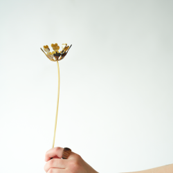 2025 Blume des Jahres aus Horn