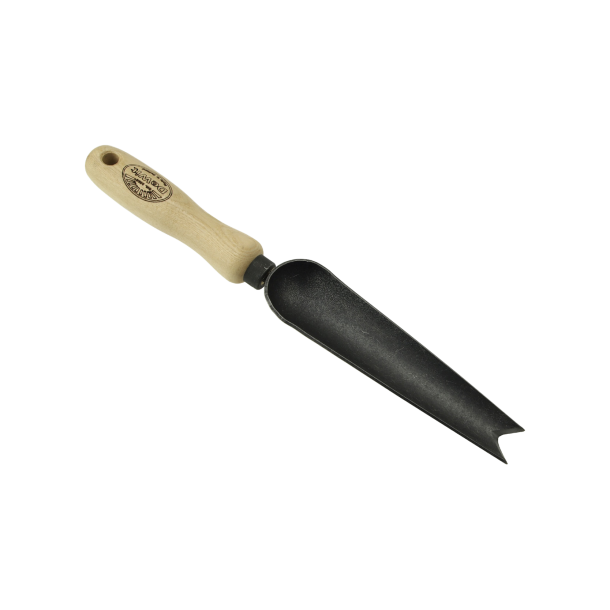 DeWit Lugeske / planteske