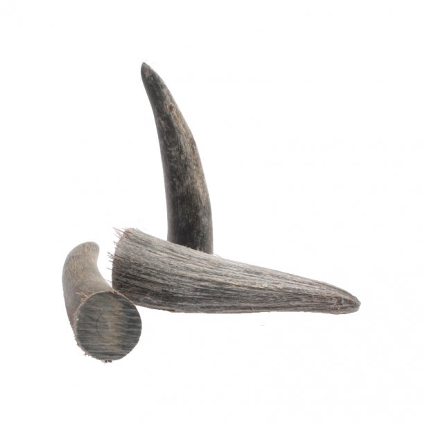 Black Horn Tip Medium (1 pcs.)