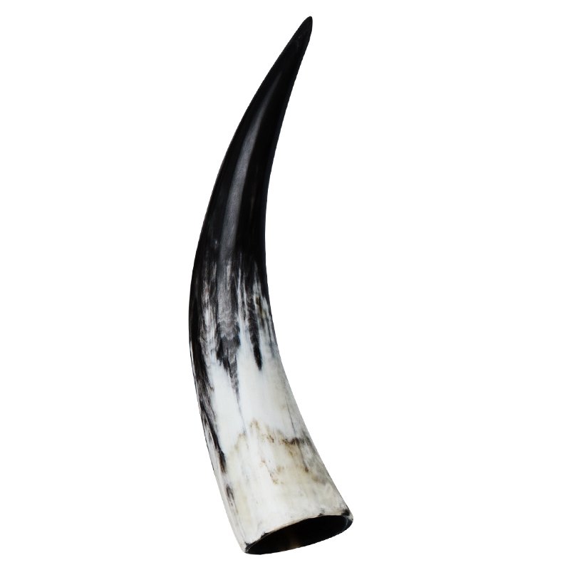 Polished Horns 30-35 Cm 