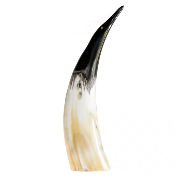 Horn Pinguin Klein 25-30 cm