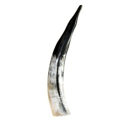 Horn Pinguin Gross 35-45 cm