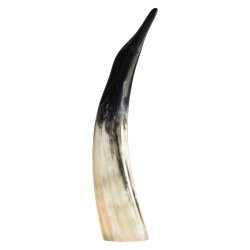 Horn Pinguin Medium 30-35 cm