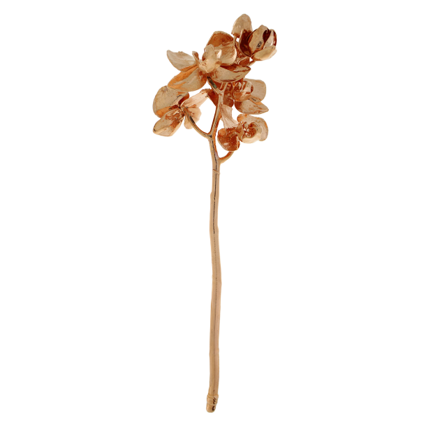 Flower Orchid Copper