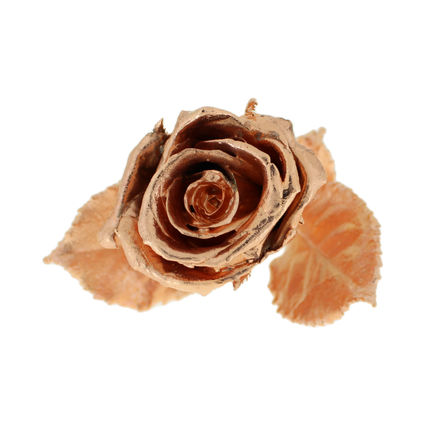 Flower Rose Copper