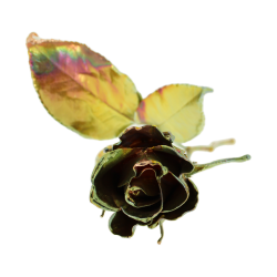 Blume Rose Kalt Kupfer