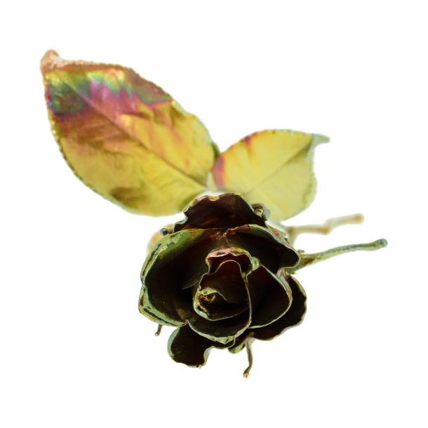 Blume Rose Kalt Kupfer