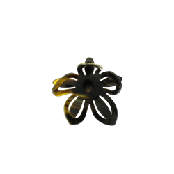 2023 Blume des Jahres aus Horn