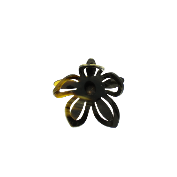 2023 Blume des Jahres aus Horn