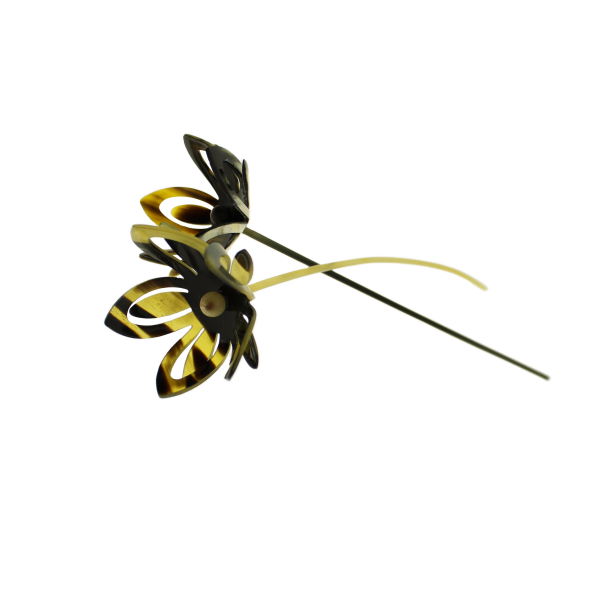 2023 Blume des Jahres aus Horn