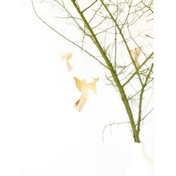 2024 Engel des Jahres