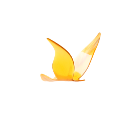 2024 Vogel des Jahres Hnger