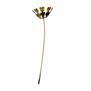 2025 Blume des Jahres aus Horn