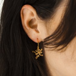 Flora vild gulerod rehnger forgyldt