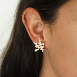 Flora vild gulerod restik forslvet