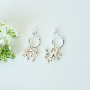 Flora vild gulerod rering hoop forslvet 