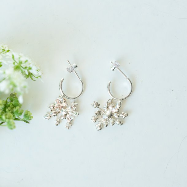 Flora vild gulerod rering hoop forslvet 