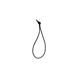 2024 Blume des Jahres Lwenzahn Forslvningsfabrikken