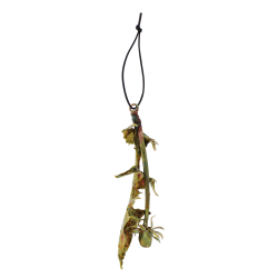 2024 Blume des Jahres Lwenzahn Forslvningsfabrikken