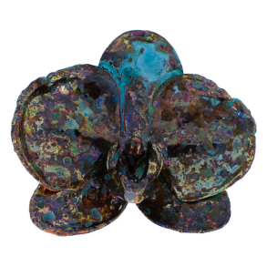 Blume Orchidee kopf grnspan