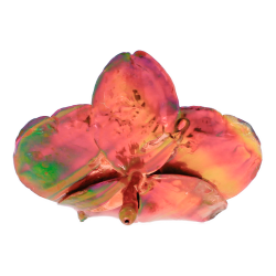 Blume Orchidee kopf Kalt Kupfer