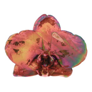 Blume Orchidee kopf Kalt Kupfer