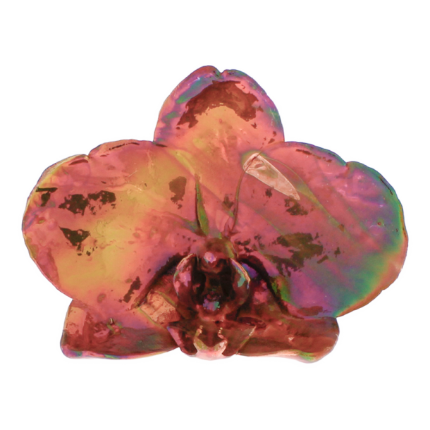 Blume Orchidee kopf Kalt Kupfer