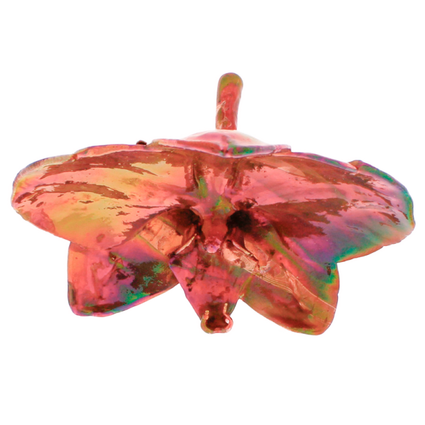 Blume Orchidee kopf Kalt Kupfer