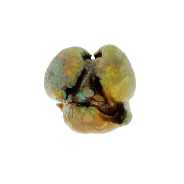 Flower Tulip Cold Copper