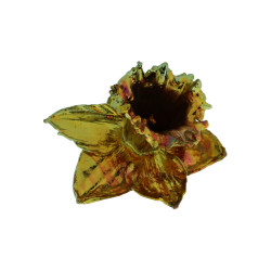 Flower Daffodil Cold Copper