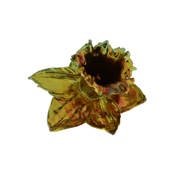 Flower Daffodil Cold Copper