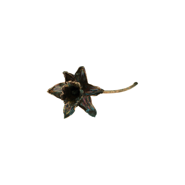 Blume Narzisse grnspan