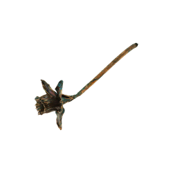 Blume Narzisse grnspan