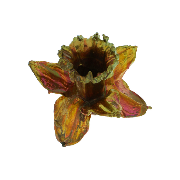 Blume Narzisse Kopf Kalt Kupfer