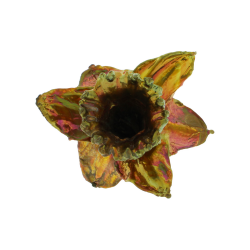 Blume Narzisse Kopf Kalt Kupfer