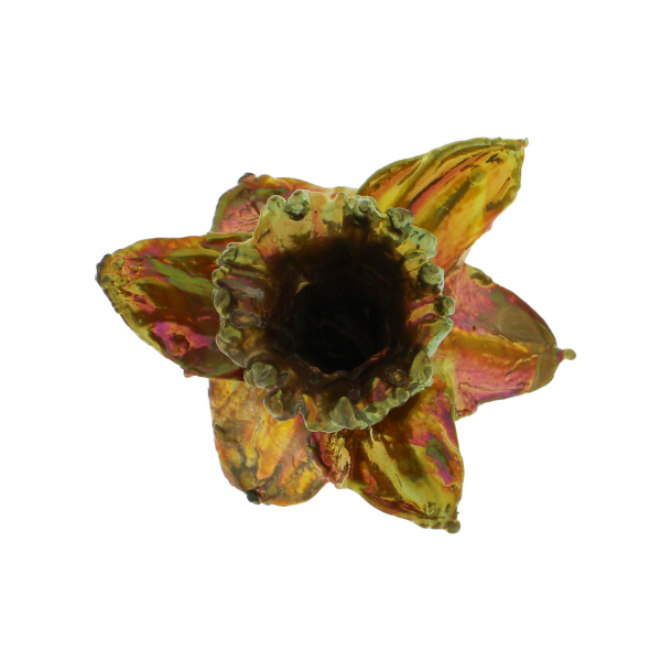 Blume Narzisse Kopf Kalt Kupfer