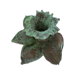 Blume Narzisse Kopf grnspan