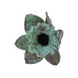 Blume Narzisse Kopf grnspan