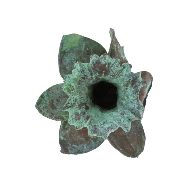 Blume Narzisse Kopf grnspan