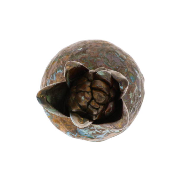 Blume Hyazinthe grnspan