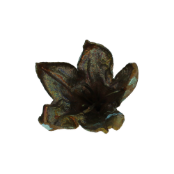 Blume Rhododendron gr�nspan